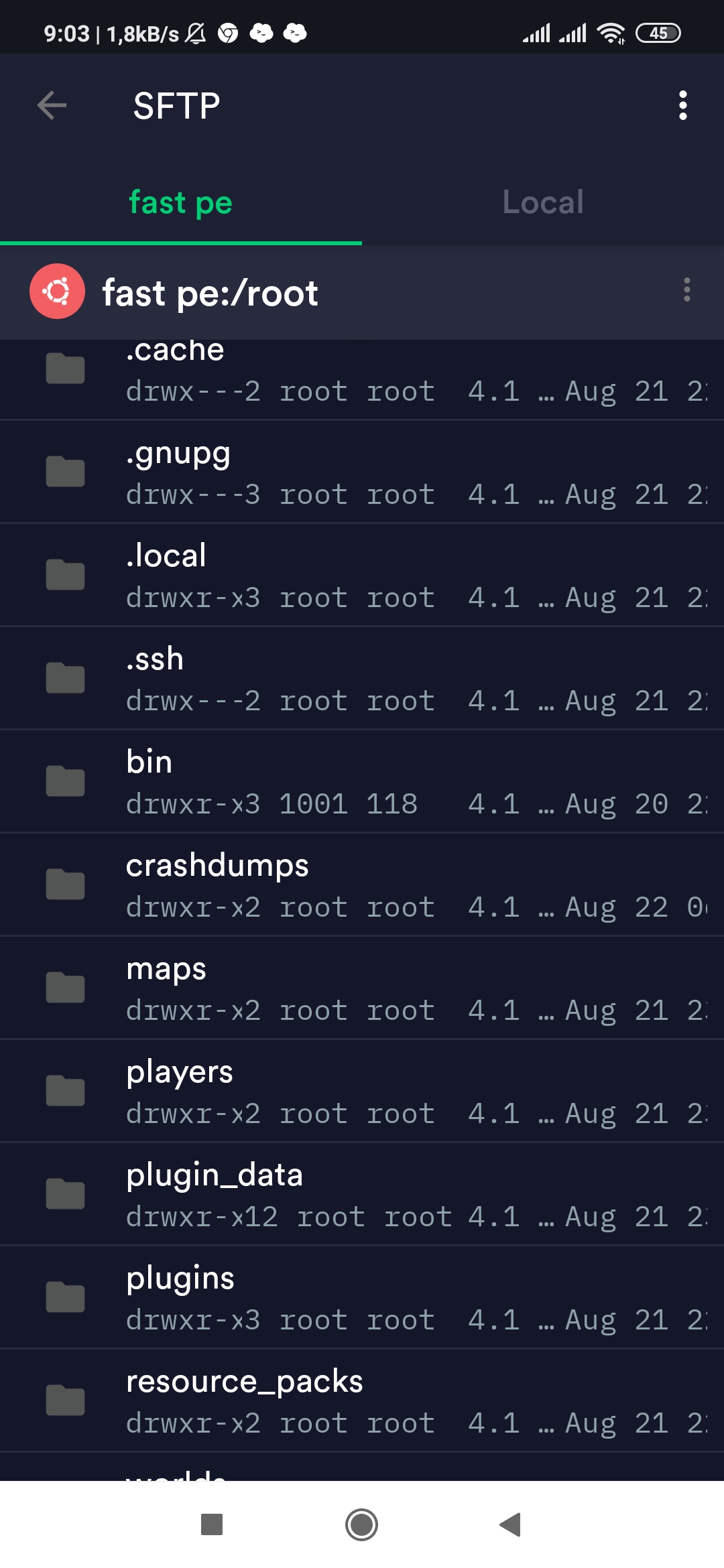 Screenshot_2020-08-22-09-03-58-188_com.server.auditor.ssh.client|230x500