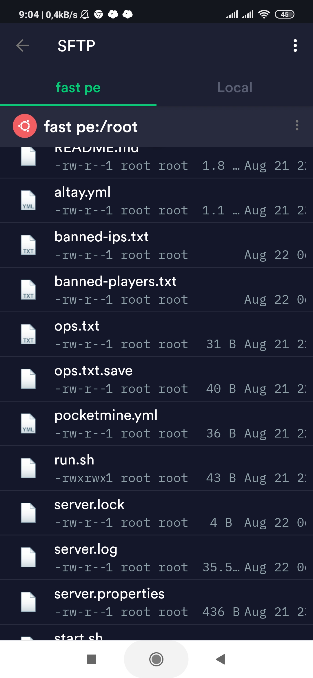 Screenshot_2020-08-22-09-04-12-107_com.server.auditor.ssh.client|230x500