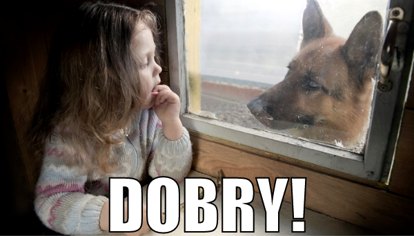 mem_Dobry_|600x342