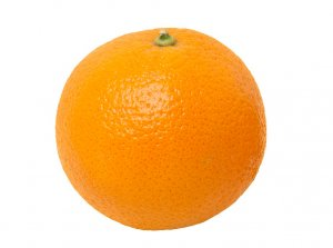 image|300x223