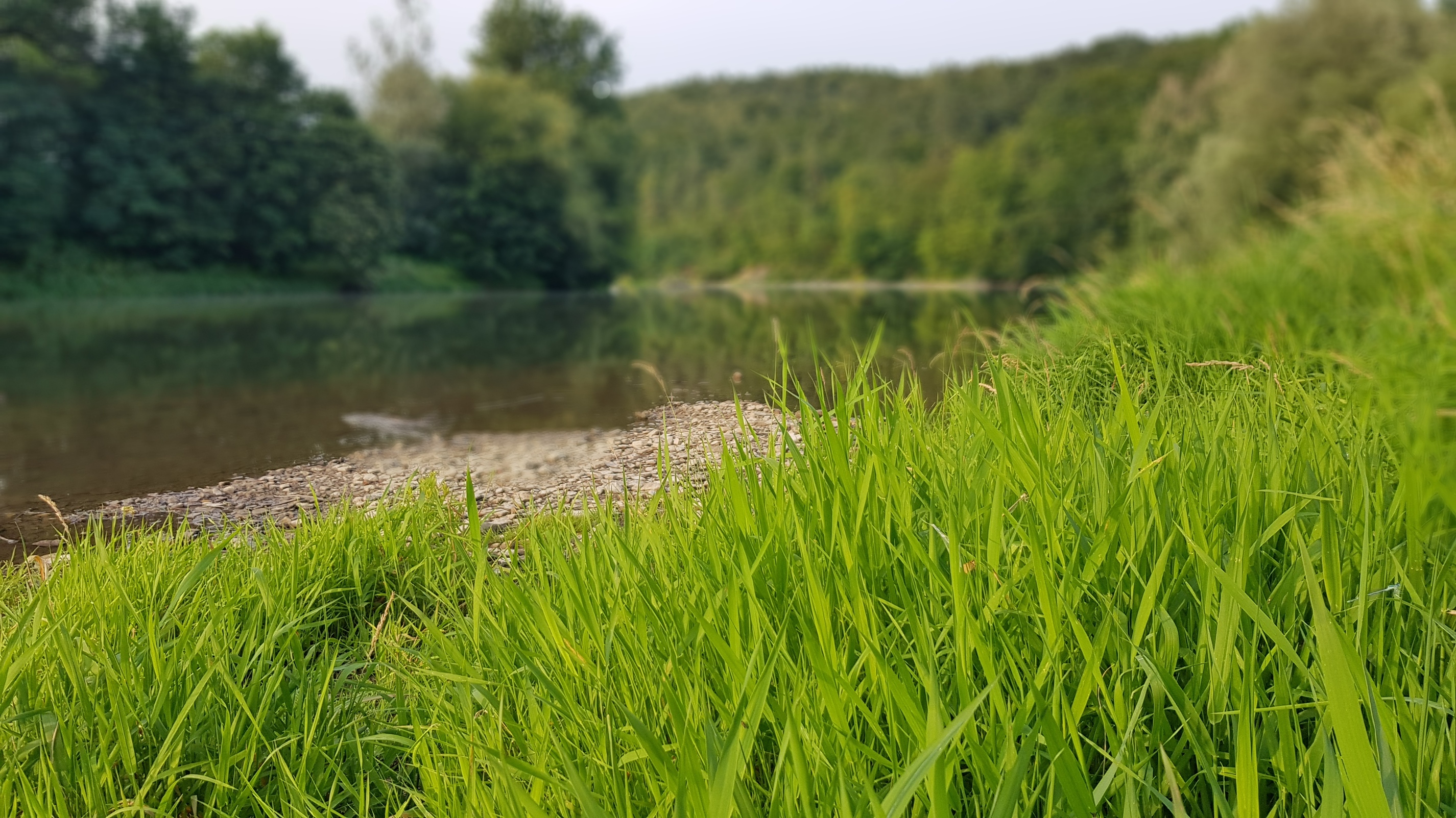 20190722_183525|690x387