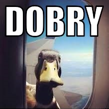 dobry|219x219