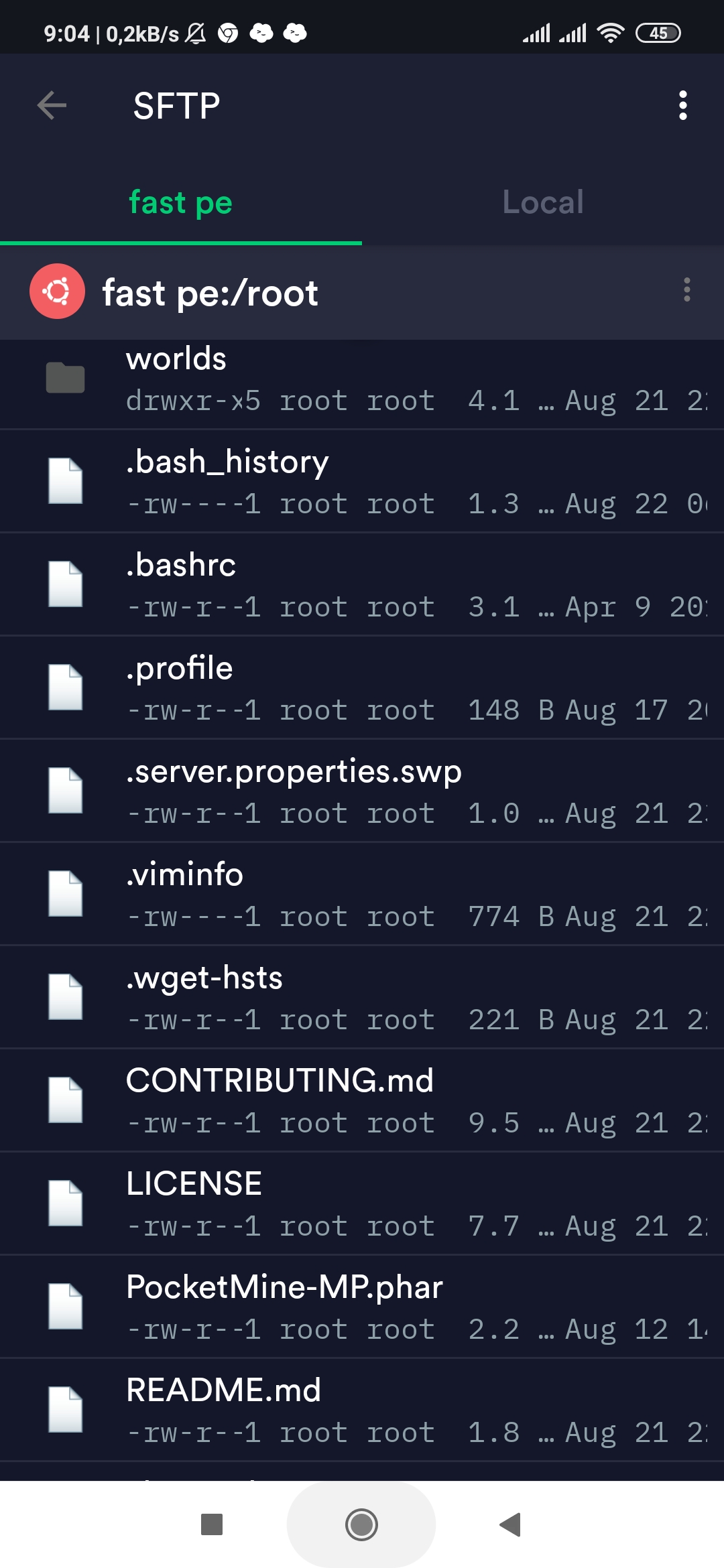 Screenshot_2020-08-22-09-04-06-421_com.server.auditor.ssh.client|230x500