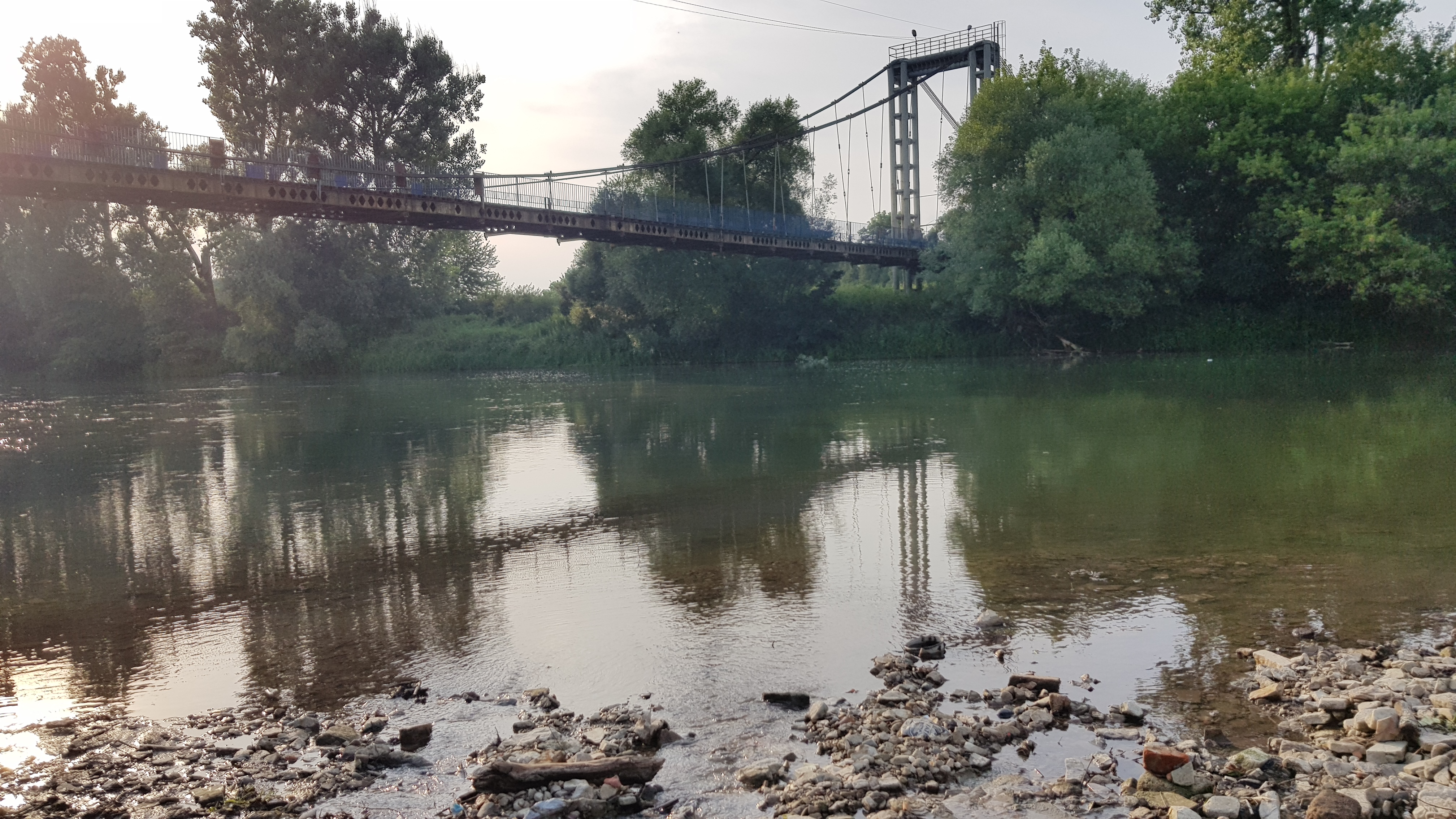 20190722_183257|690x388