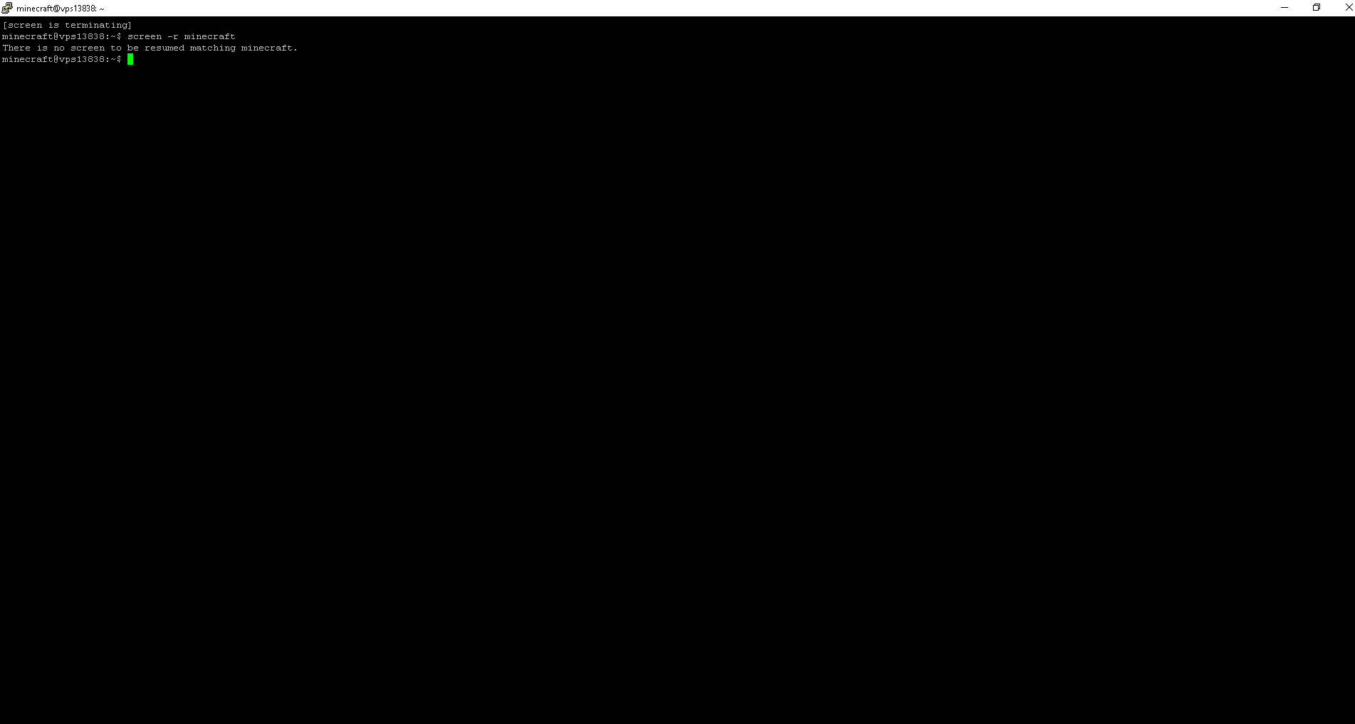 minecraft@vps13838_ ~ 15.03.2021 18_14_48|690x368