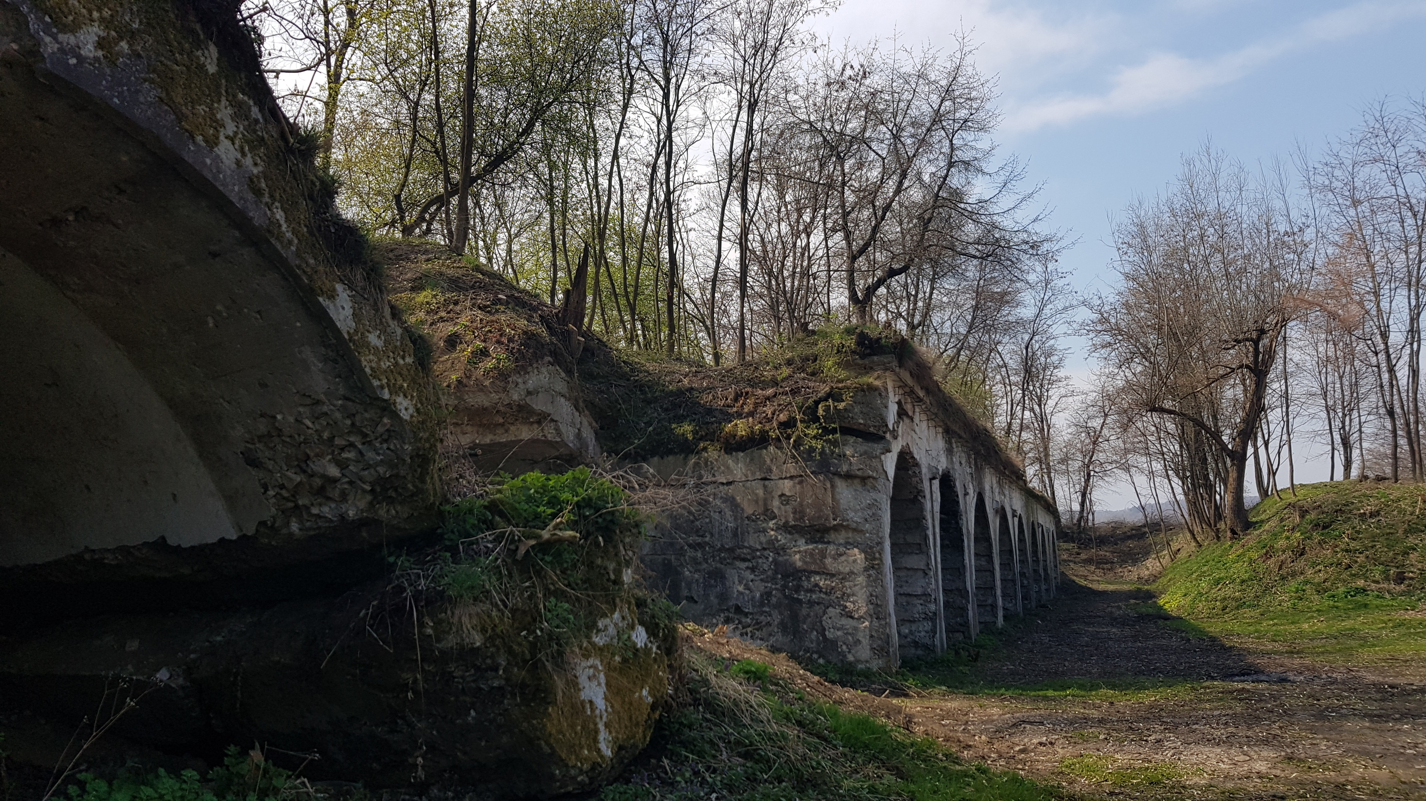 20190406_131041|690x387