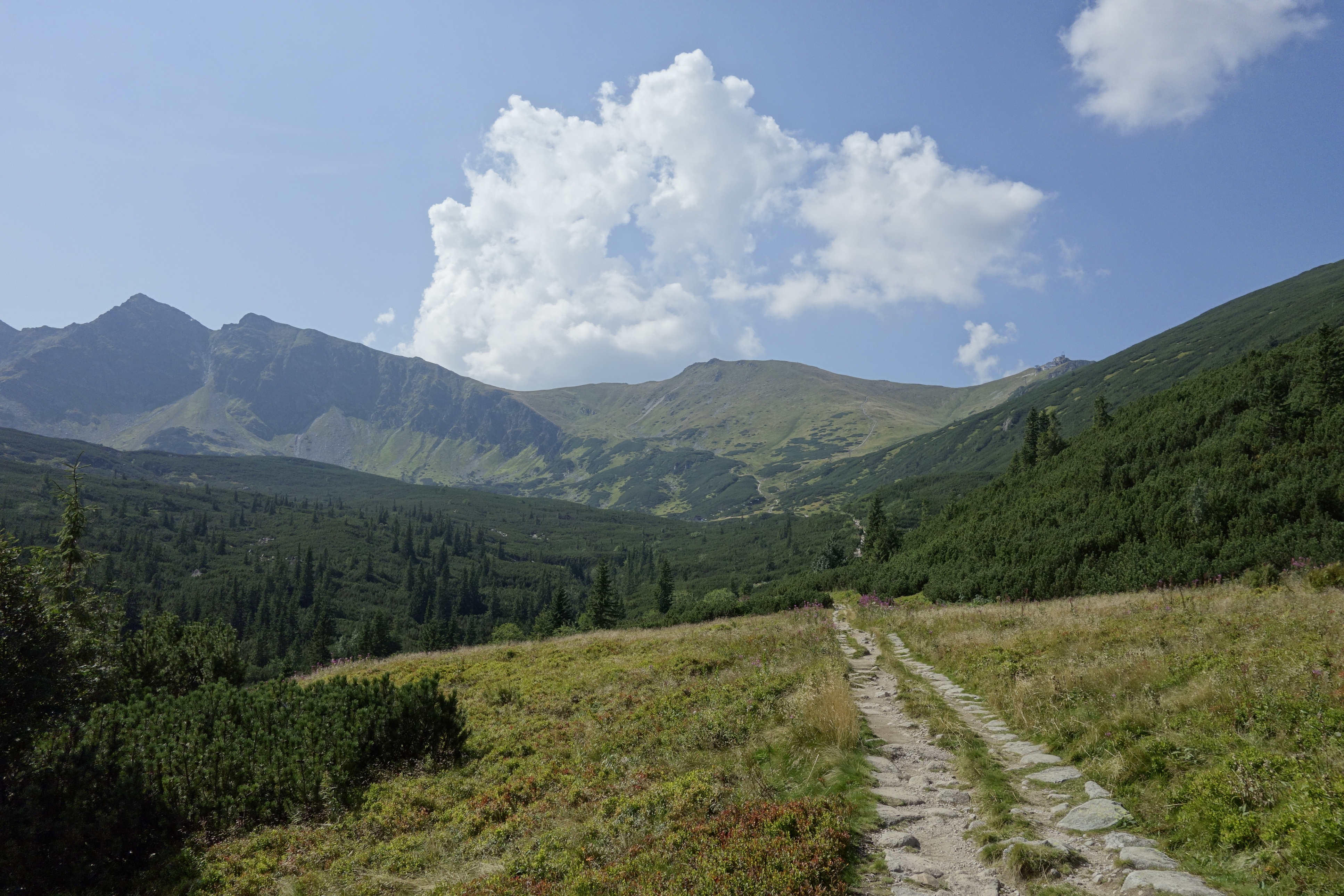 _DSC3474|690x459