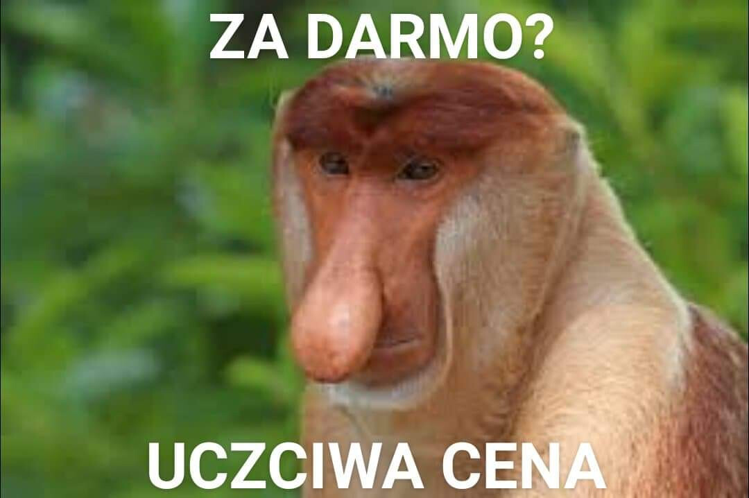 comment_F9GtGyPy9yf9EfHisnm3zLB6nK9yFsDb|690x458, 100%